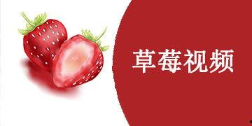 草莓国产视频,探寻本土草莓种植的魅力与风采